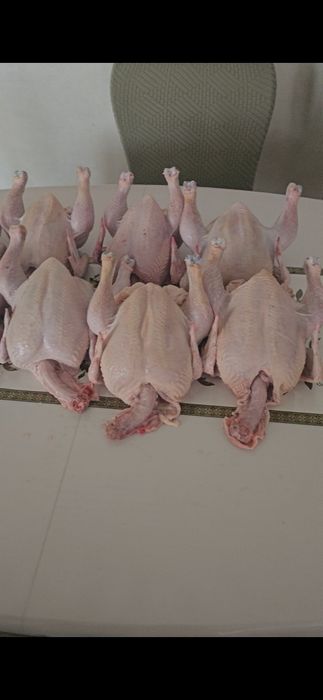 Тушка домашнего бройлера