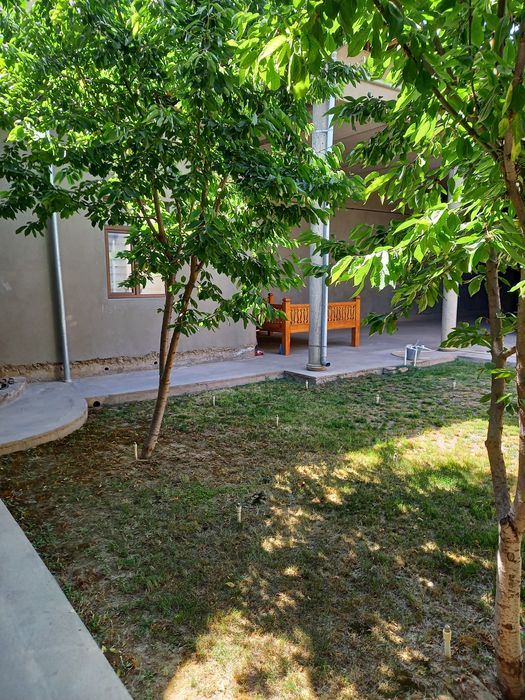 Ховли сотилади Карши шахар А.Навоий махалласи Устозлар кучаси