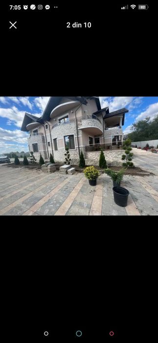 Avem plante ornamentale de ce mai buna calitate