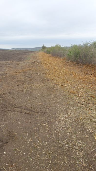 Curatare pasuni,terenuri,defrisare