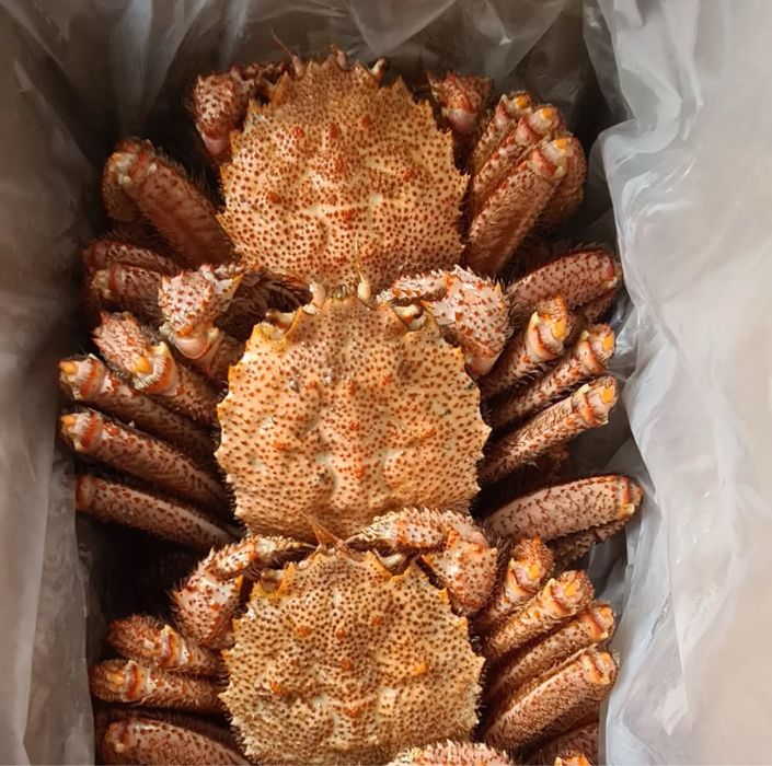 Клешни краба,камчатский краб,живые раки,варенные раки,креветки