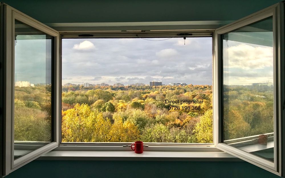 2 camere pe B-dul Tineretului - vedere superba parc