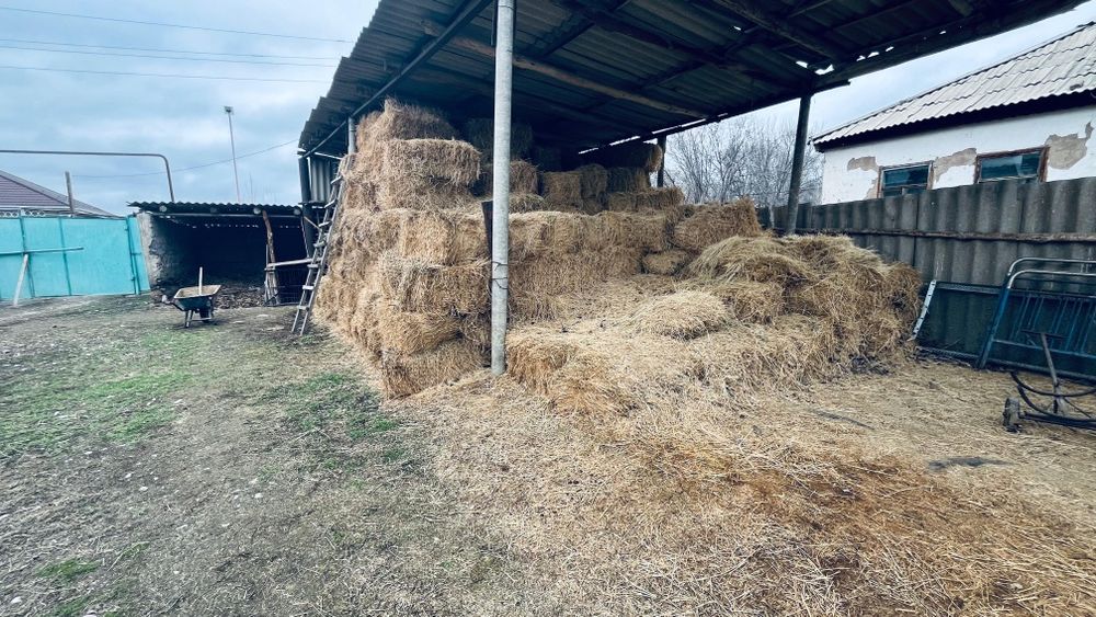 Үй сатылады Меркі ауданында