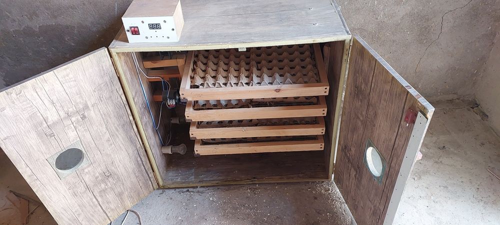 Инкубатор на 500 яйц