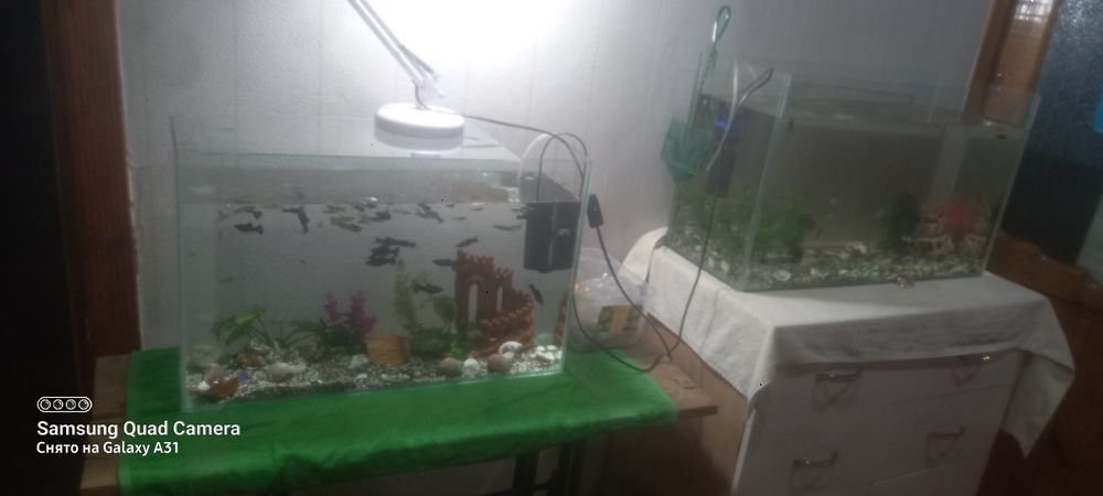 Продам аквариум  на 80 и 60  литров