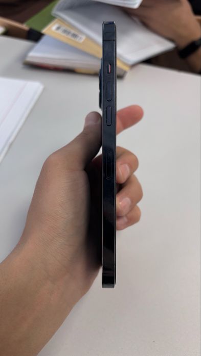 iPhone 12 Pro Max