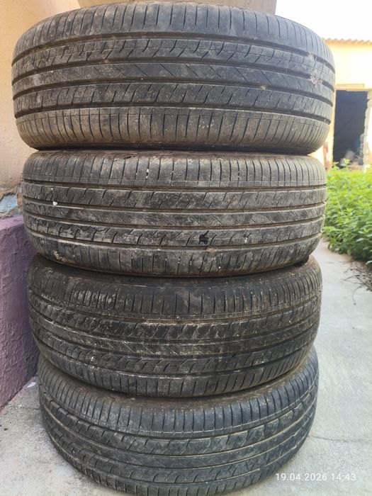 Шины  225/55/19R