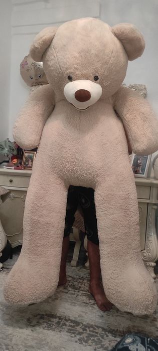 продам медведя большого