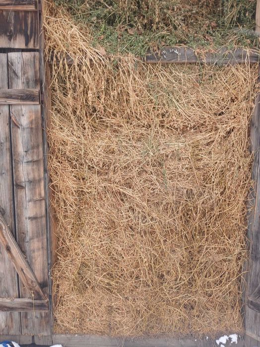 super oferta fan lucerna vrac