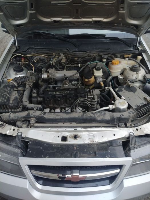 Нехиа 2  2012  гибрид, ген хам берилади