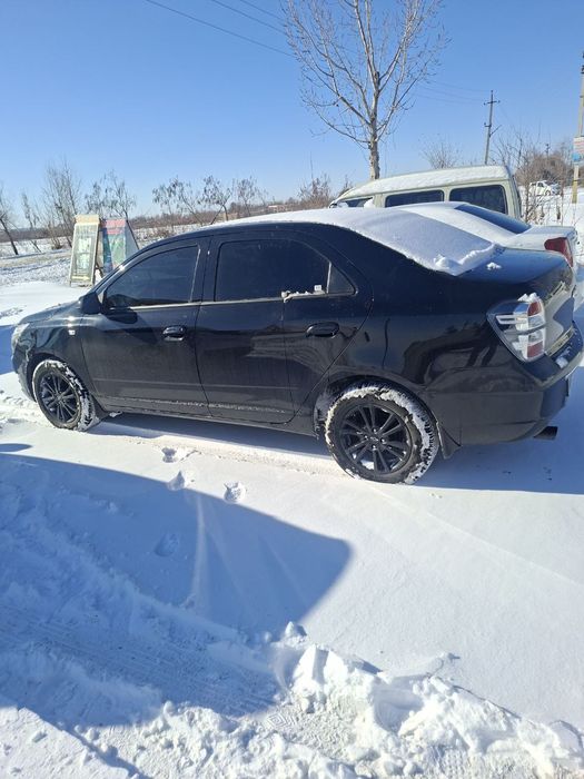 Cobalt midnight qora 2025