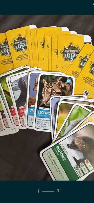 Cartonas mega image expeditia lumii carte minecraft