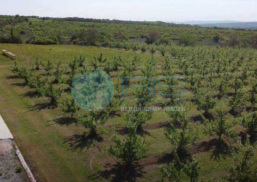 Продава се Земеделски имот в с. Осмар, Област Шумен -  кв.м за 4330 €/дка - Снимка #7