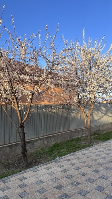 Продам дом с гаражем и времянкой