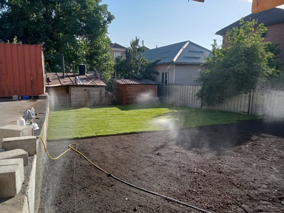 Газон рулонный и посевной