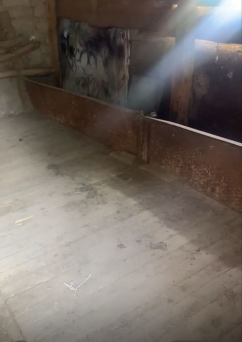 Фазенда сатамынн