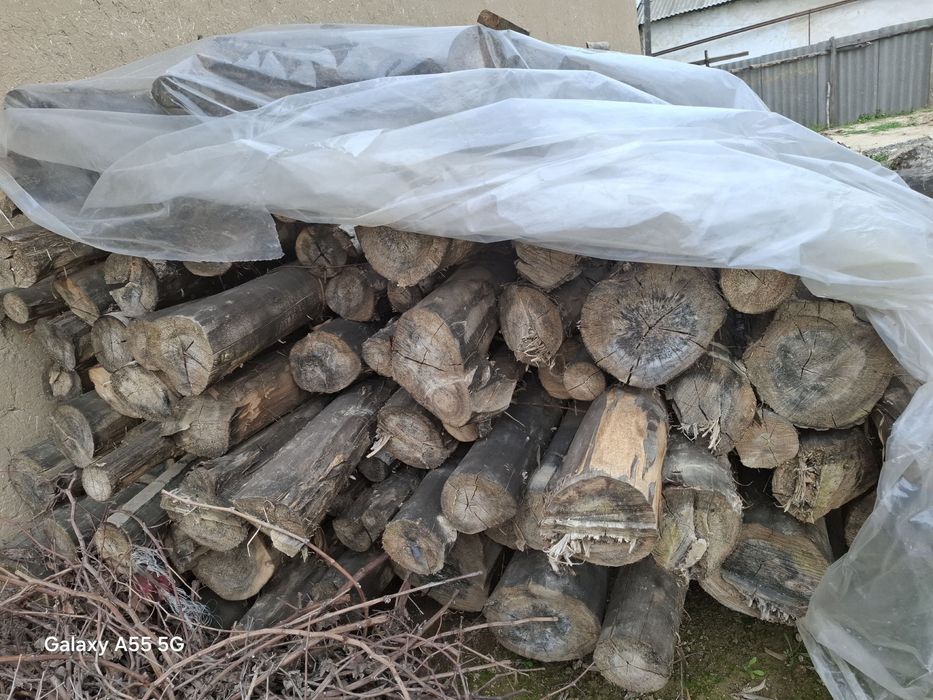 Tosinlarni optom narxda bervoramiz pul zarur