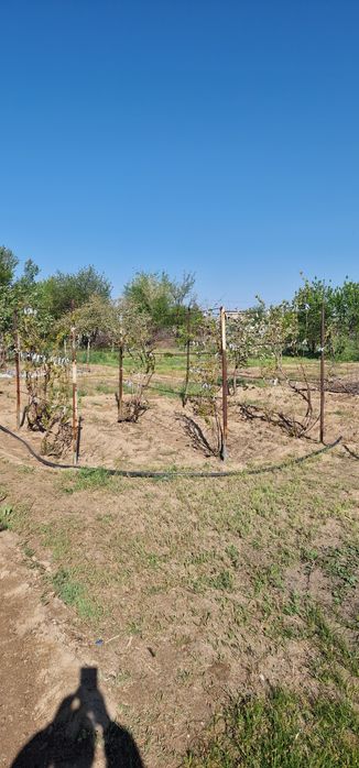 Срочно продам дачу