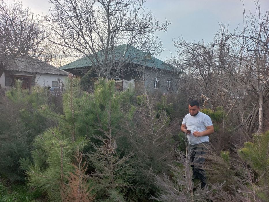 Qirimiski sasna sotiladii