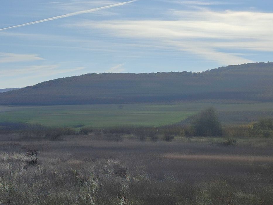 Продава се Парцел в с. Генерал Кантарджиево, Област Варна - 1350 кв.м за 8 €/кв.м - Снимка #4