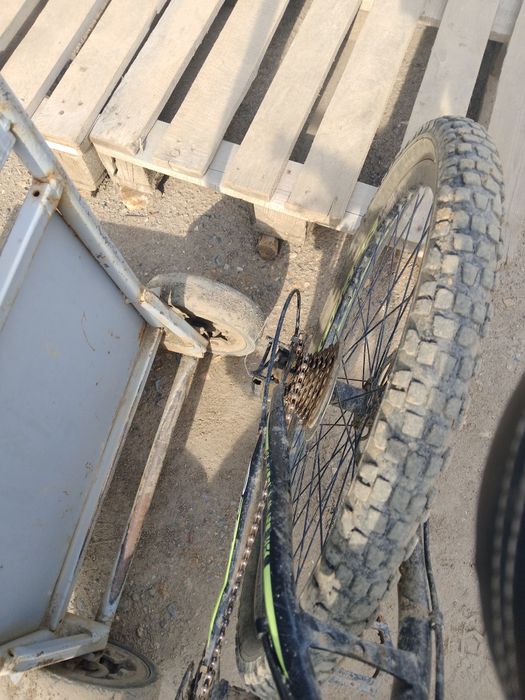 Пирадаю велик бу