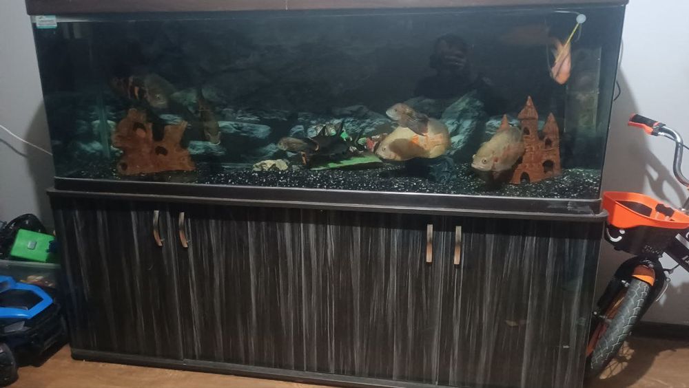 продам аквариум закваской Китай 480л