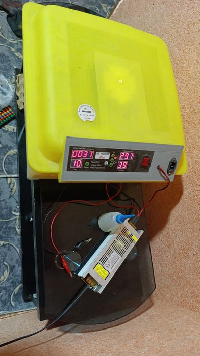 Inkubator sotiladi manzil Yakabogʻ