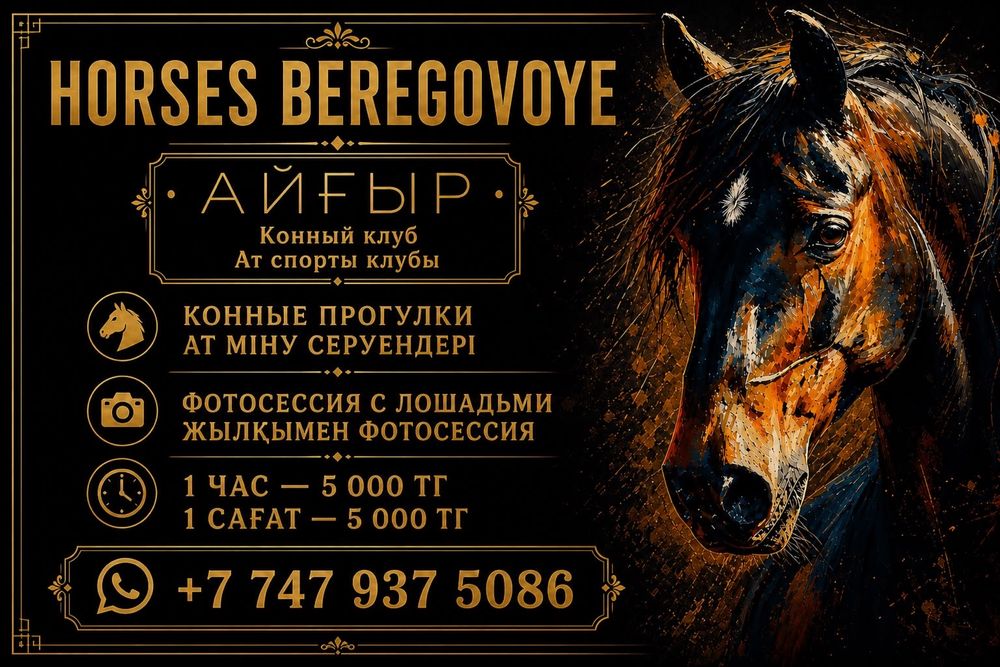 Сдам дом посуточно