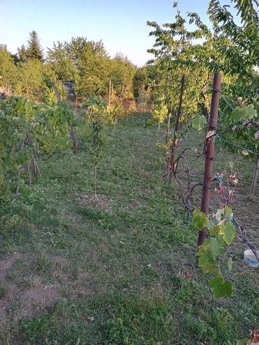 Casa de vanzare Baicoi