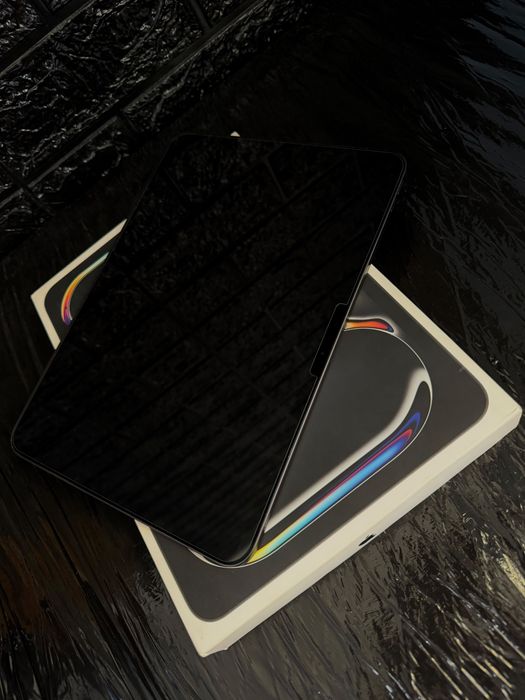 Ipad Pro 11 M4 256gb