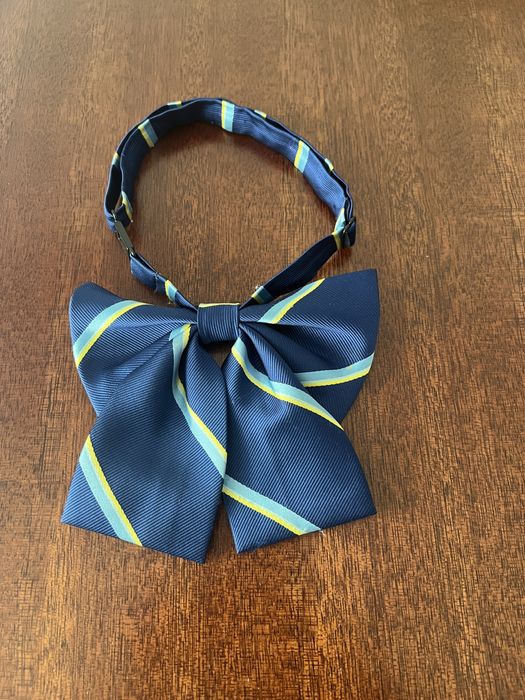 Бабочка (школа Абая)