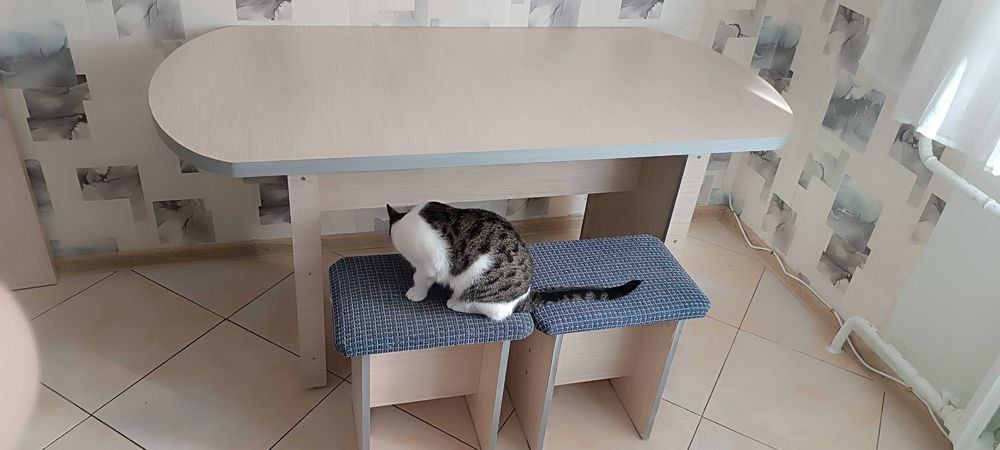 кухонный стол и 6 табуреток