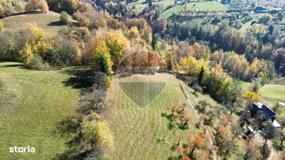 Teren Sohodol-Bran / Strada Bradul inalt, priveliste deosebita