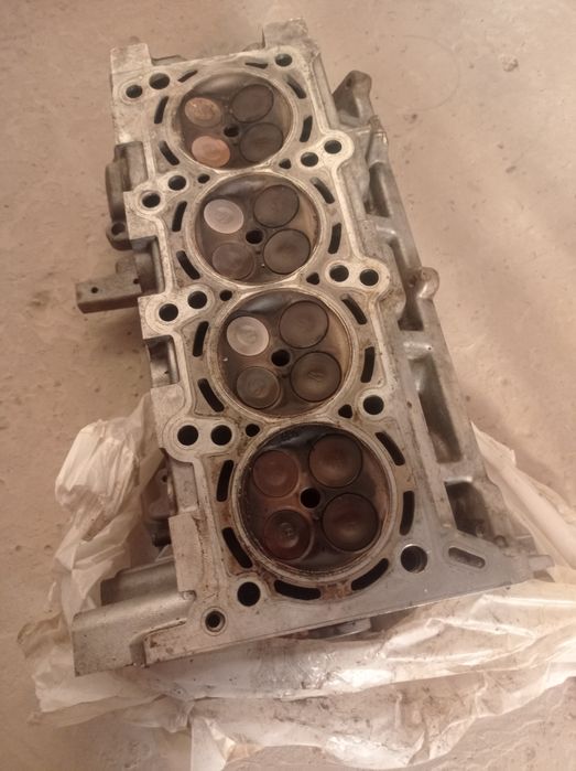 Кобылт родной галопкыс 2014 жыл жагдай жаксы