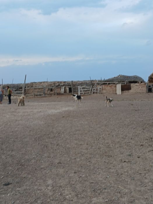 ФАЗЕНДА сатылады