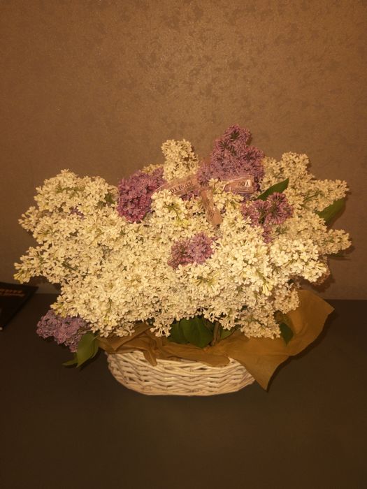 Сирень в корзине