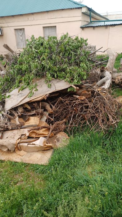 Quruq o'tin somsacilar ucun qulay