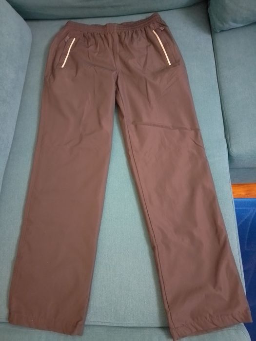 Долнище българско