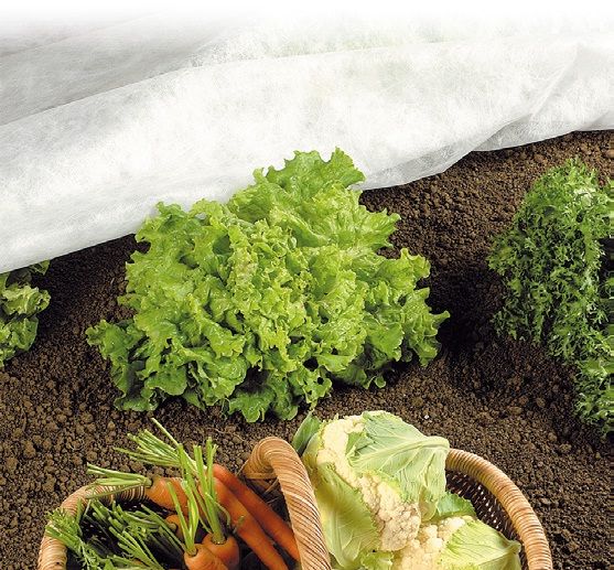 Importator: Folie ANTI-INGHET AGRIL MICROPOROASA Densitate:19g 23g 30g