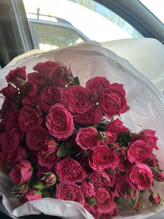 ПРОДАМ РОЗЫ кустовые