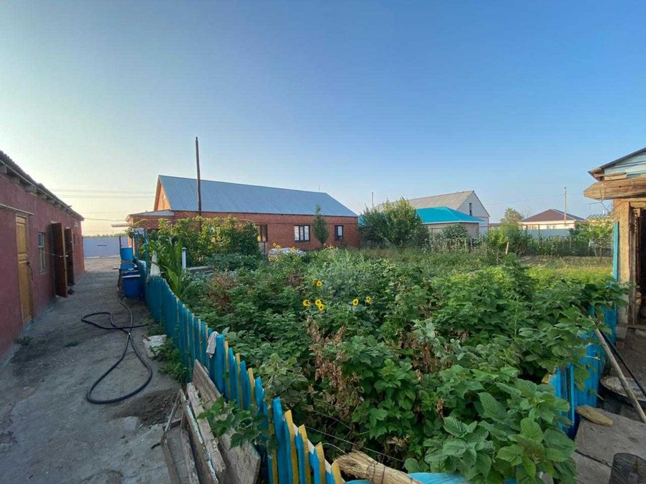 Отличные соседи, отличная цена.