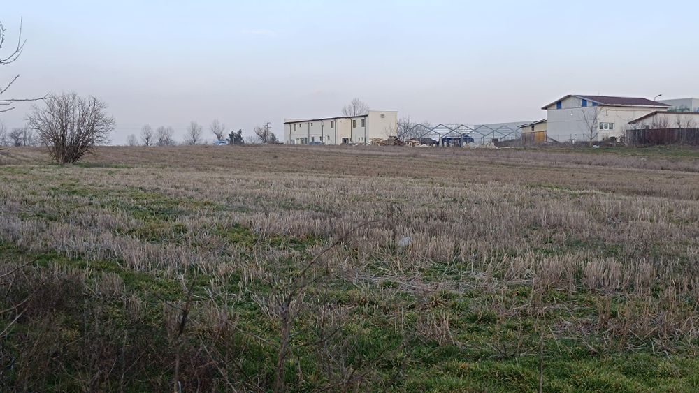 Teren Vidra Berceni  Ilfov