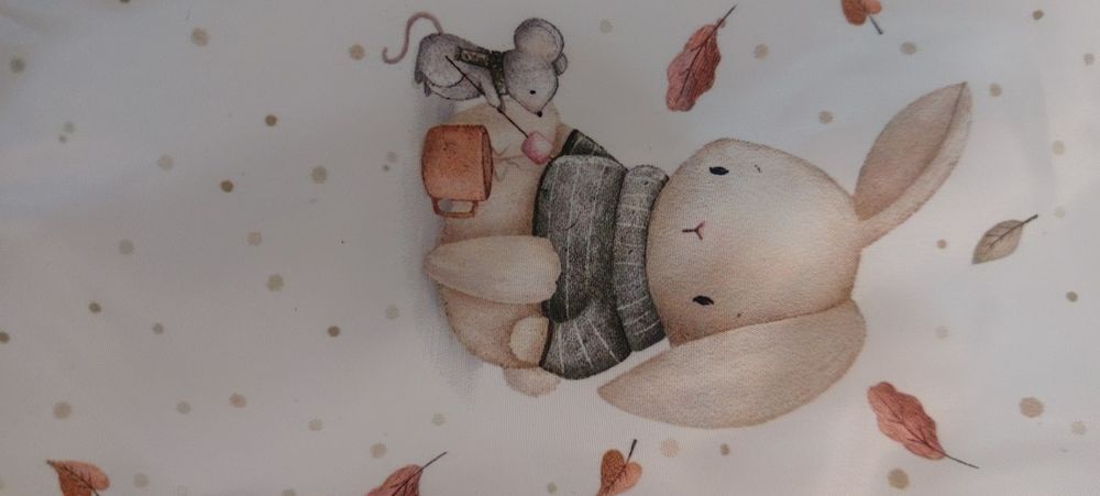 Конверт и комбез на выписку