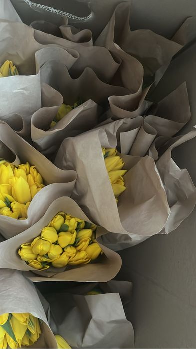 Тюльпаны оптом 300 тг