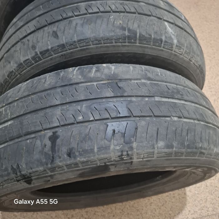 Баландар жаксы жагдайда