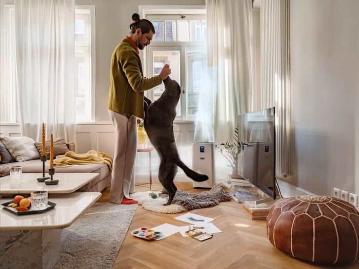 Воздухоочиститель AF 50 Karcher