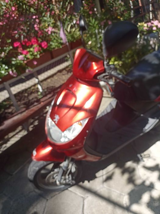 Пежо,Peugeot vivacity 50 2t