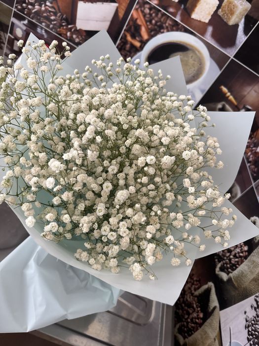 Продам цветы