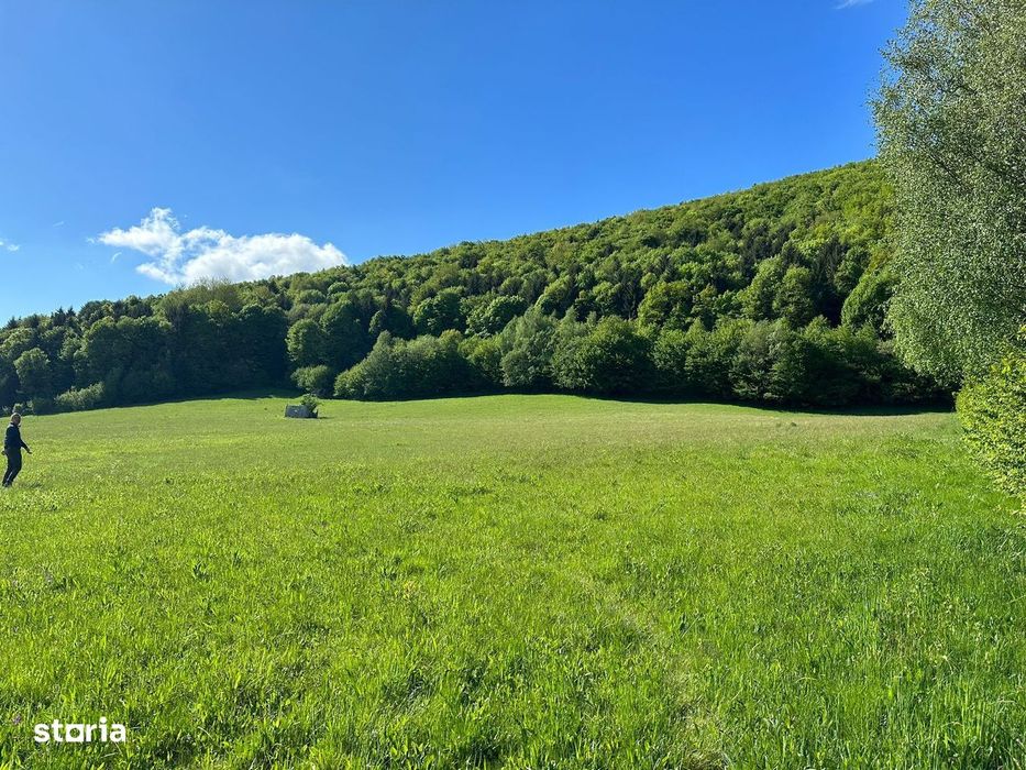 Teren Intravilan in Tocile-priveliste deosebita - Sadu - Sibiu