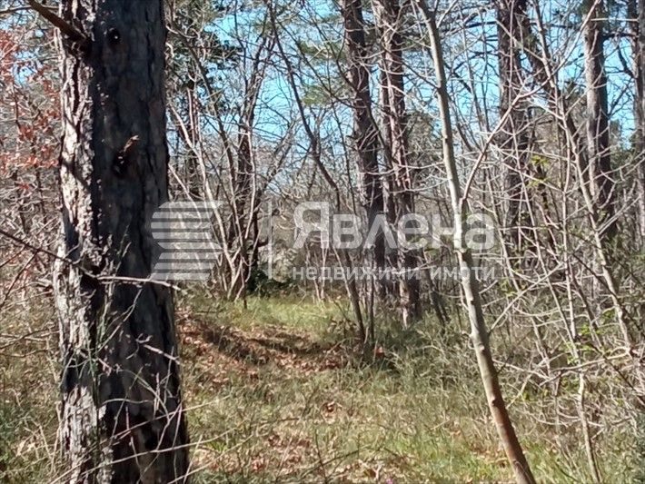 Продава се Парцел в Созопол - 4589 кв.м за 41 €/кв.м - Снимка #2